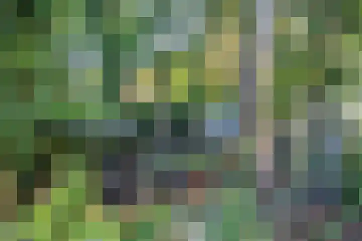 Esakkers 6 Annen thumbnail 38