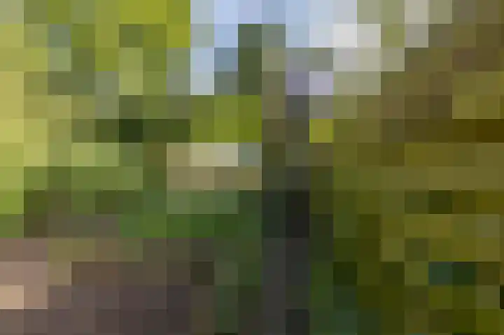 Esakkers 6 Annen thumbnail 40