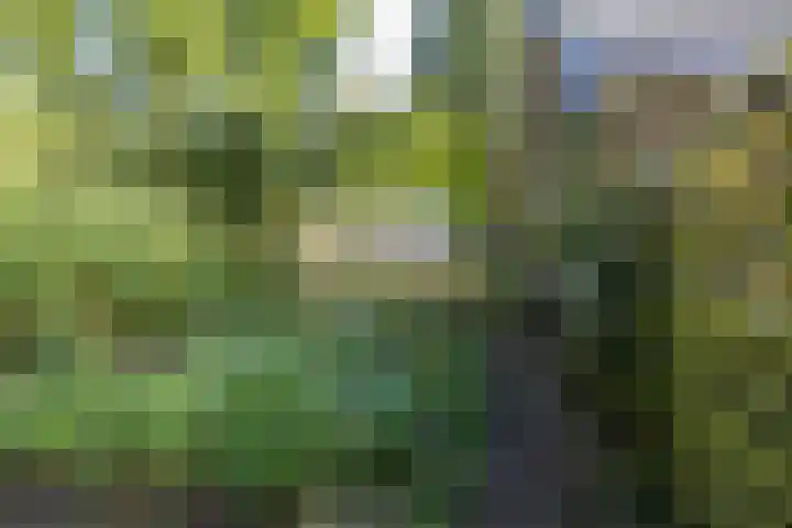 Esakkers 6 Annen thumbnail 41