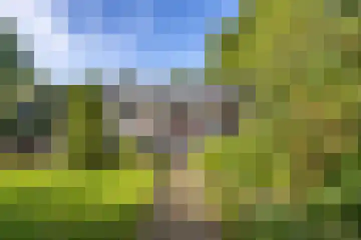 Esakkers 6 Annen thumbnail 43