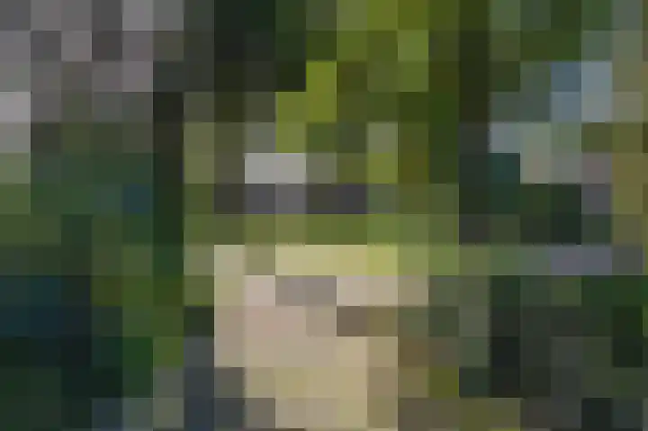 Esakkers 6 Annen thumbnail 46
