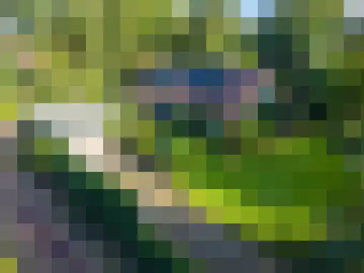Esakkers 6 Annen thumbnail 49
