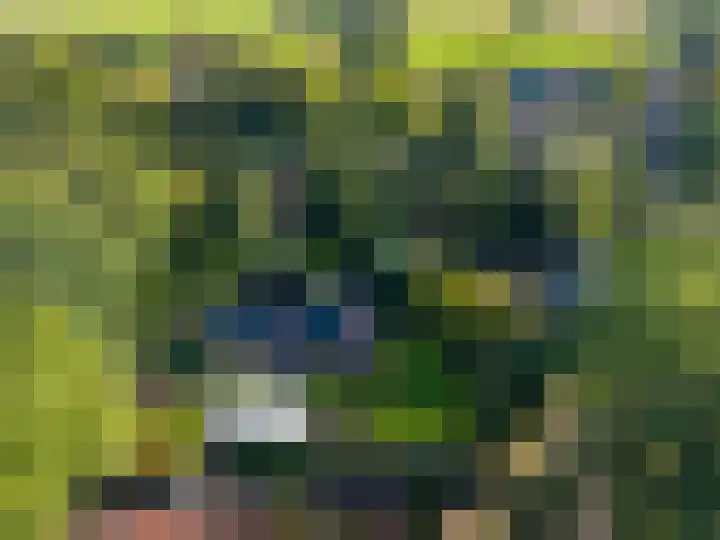 Esakkers 6 Annen thumbnail 51