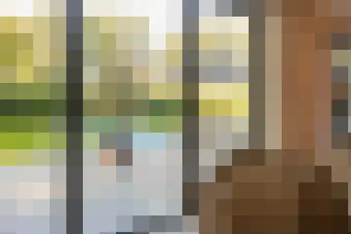 Eschbeekweg 66 Enschede thumbnail 22