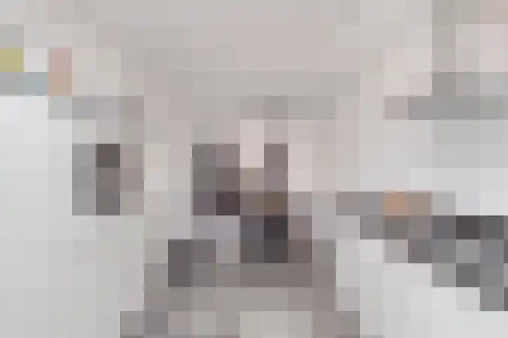 Eschrand 34 Vragender thumbnail 18