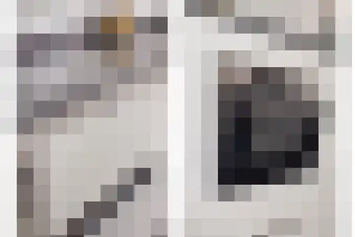 Eschrand 34 Vragender thumbnail 21