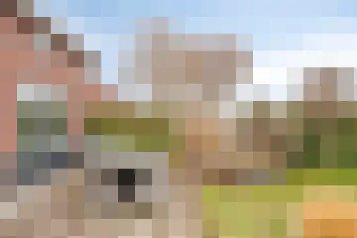 Eschrand 34 Vragender thumbnail 42