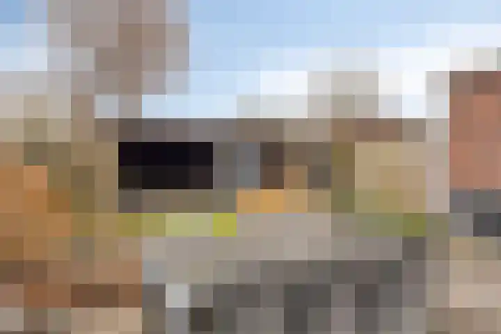 Eschrand 34 Vragender thumbnail 43