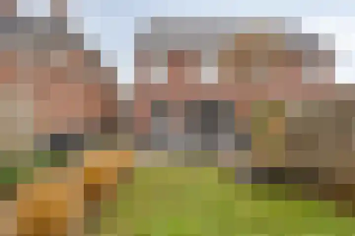Eschrand 34 Vragender thumbnail 45