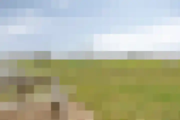 Eschrand 34 Vragender thumbnail 47