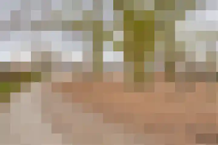 Eschrand 34 Vragender thumbnail 48