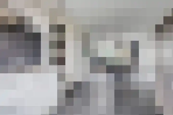 Eschrand 8 Vragender thumbnail 10