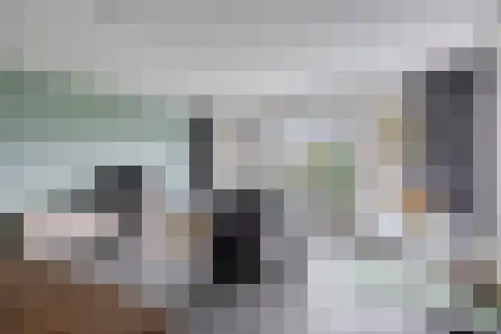 Eschrand 8 Vragender thumbnail 11