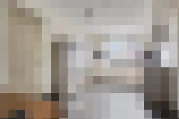 Eschrand 8 Vragender thumbnail 15