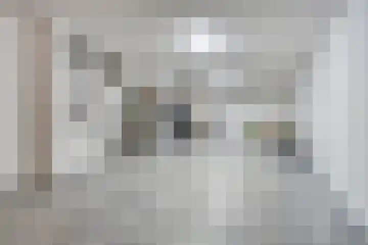 Eschrand 8 Vragender thumbnail 19