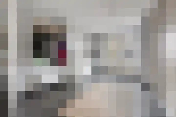 Eschrand 8 Vragender thumbnail 21