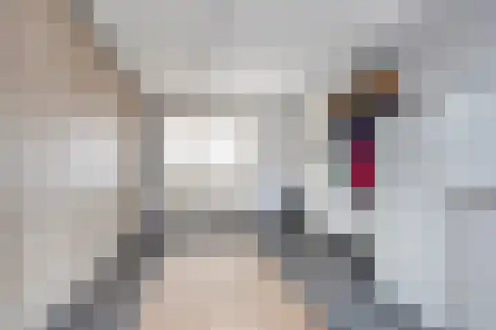 Eschrand 8 Vragender thumbnail 22