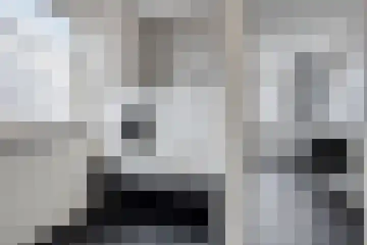 Eschrand 8 Vragender thumbnail 28