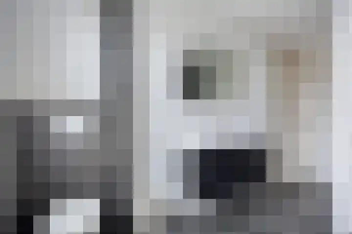 Eschrand 8 Vragender thumbnail 31