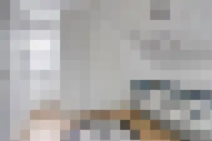 Eschrand 8 Vragender thumbnail 34