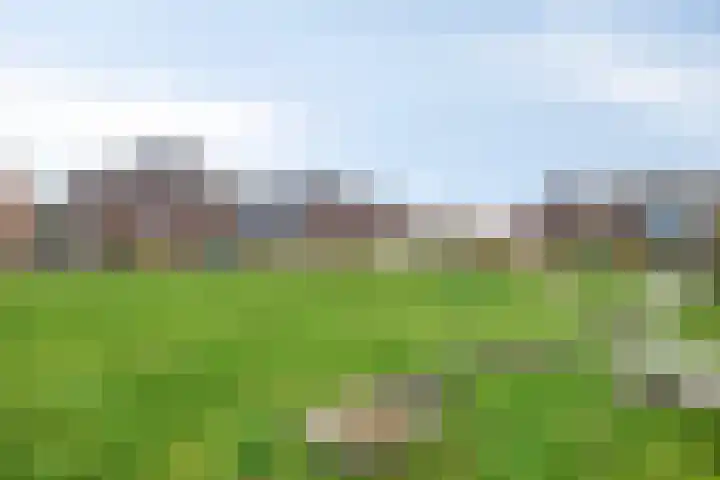 Eschrand 8 Vragender thumbnail 41