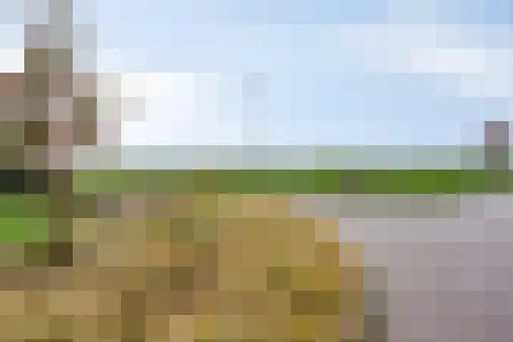 Eschrand 8 Vragender thumbnail 42