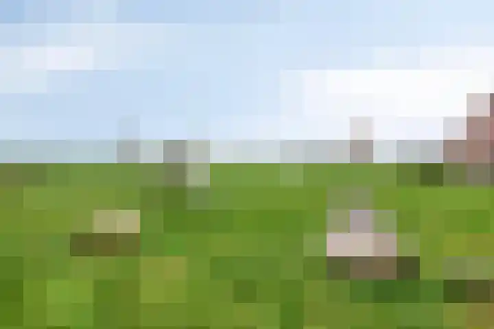 Eschrand 8 Vragender thumbnail 43