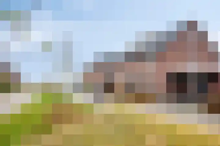 Eschrand 8 Vragender thumbnail 6