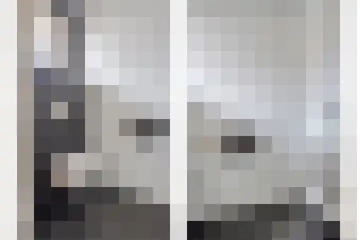 Eschrand 8 Vragender thumbnail 9