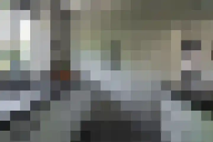 Eschwal 12 Wierden thumbnail 17