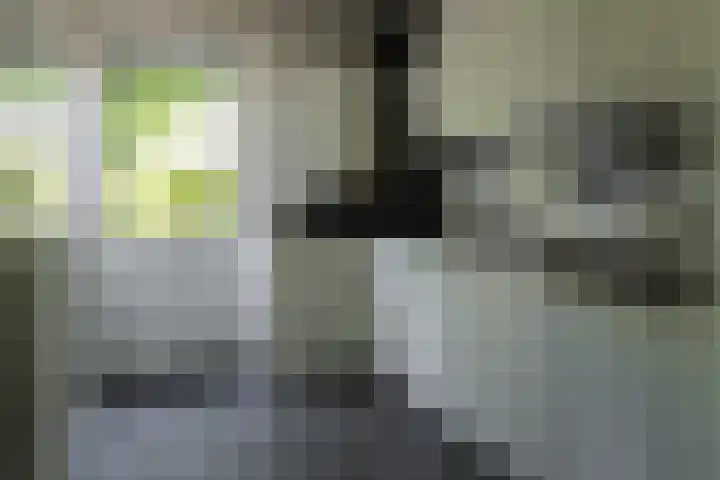 Eschwal 12 Wierden thumbnail 21