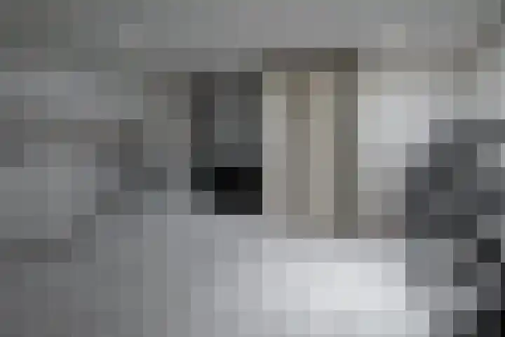 Eschwal 12 Wierden thumbnail 39