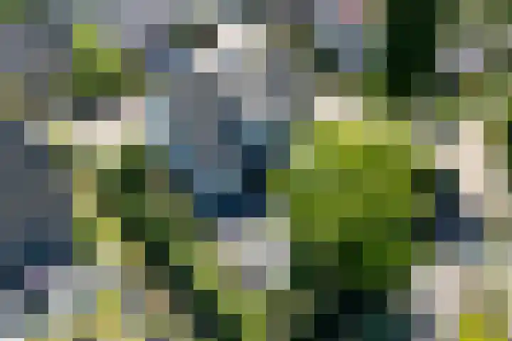 Eschwal 12 Wierden thumbnail 41