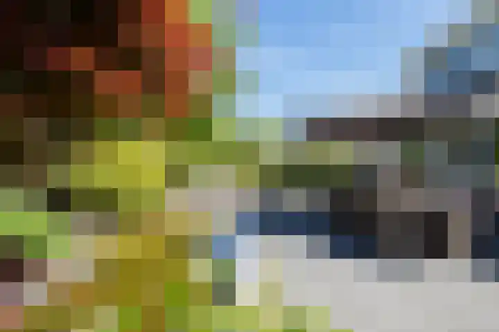 Eschwal 12 Wierden thumbnail 45