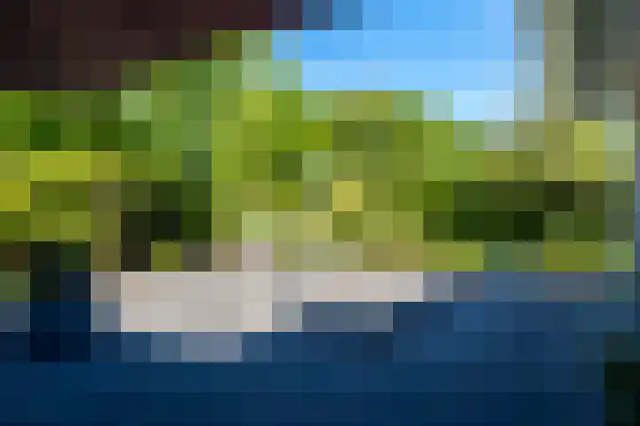 Eschwal 12 Wierden thumbnail 47