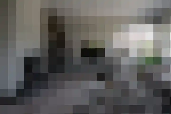 Eschwal 12 Wierden thumbnail 5