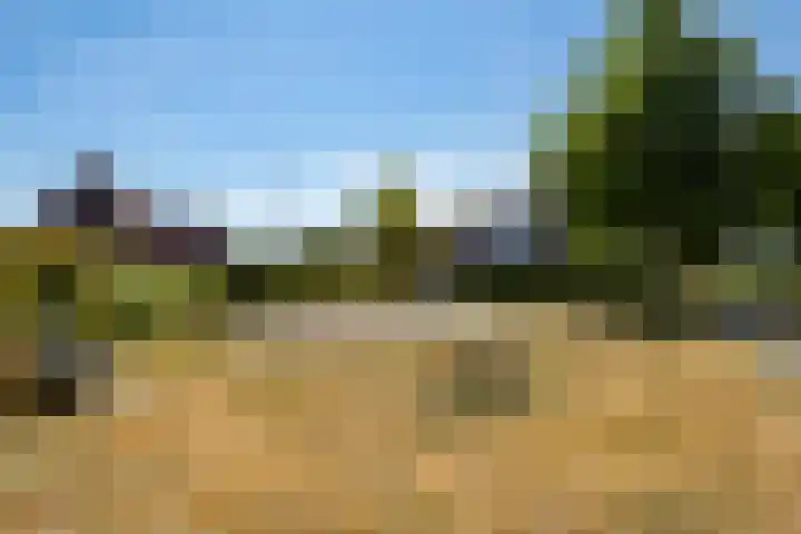 Eschwal 12 Wierden thumbnail 53