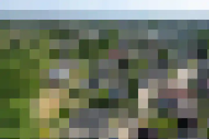 Eschwal 12 Wierden thumbnail 57