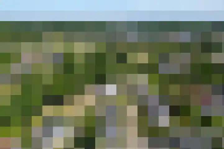 Eschwal 12 Wierden thumbnail 58