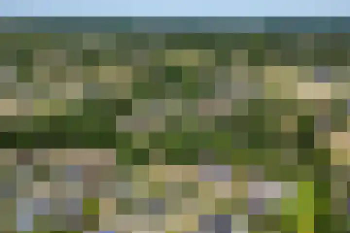 Eschwal 12 Wierden thumbnail 59