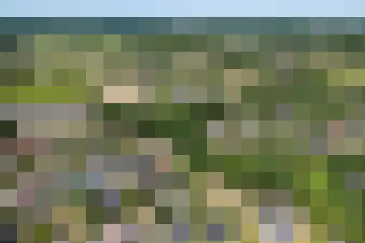 Eschwal 12 Wierden thumbnail 60