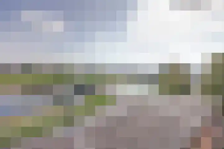 Escudo 34 Dronten thumbnail 32