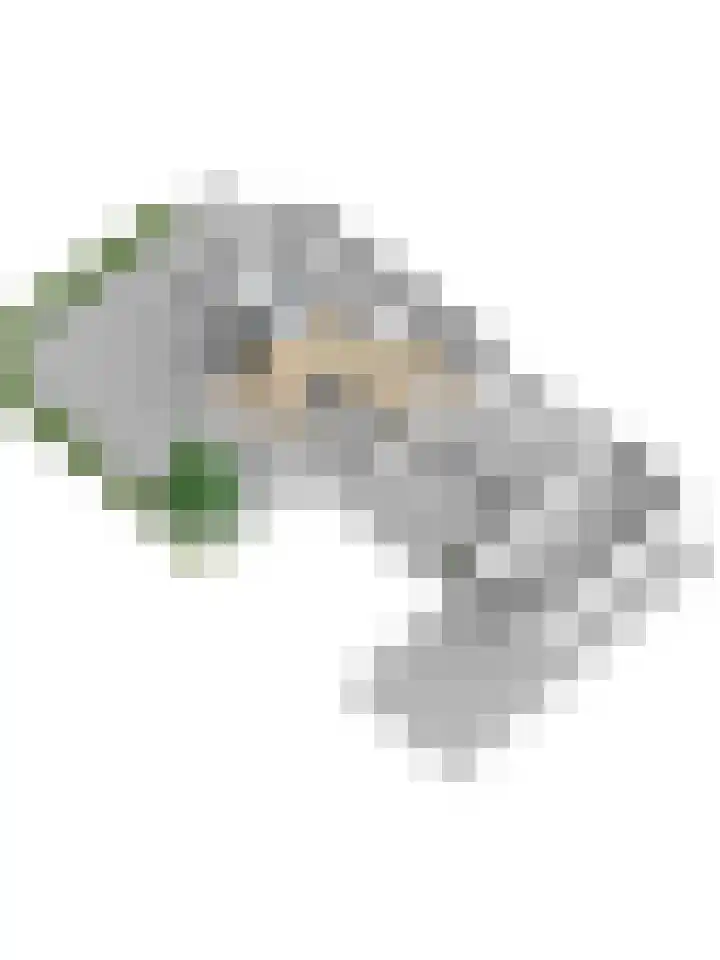 Escudo 34 Dronten thumbnail 51