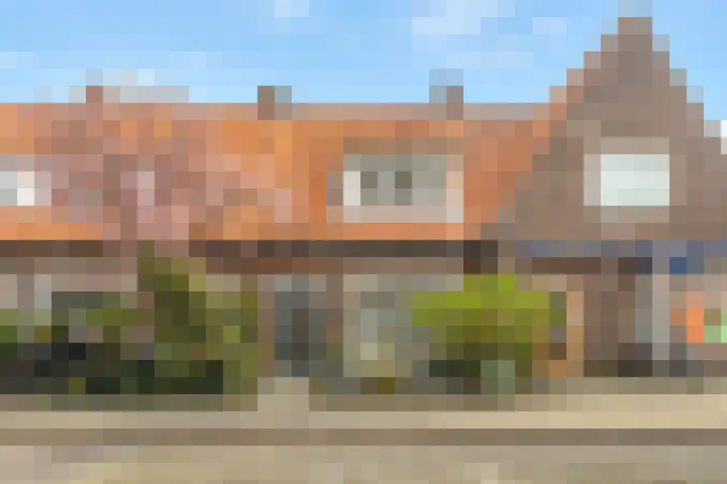 Esdoorn 1 b in Odijk