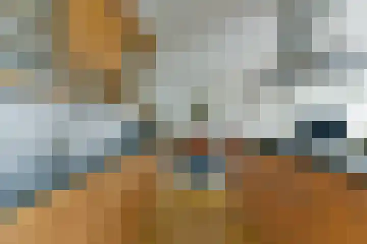 Esdoorn 15 Odijk thumbnail 17