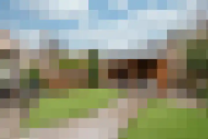 Esdoorn 15 Odijk thumbnail 21
