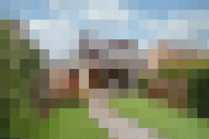 Esdoorn 15 Odijk thumbnail 24