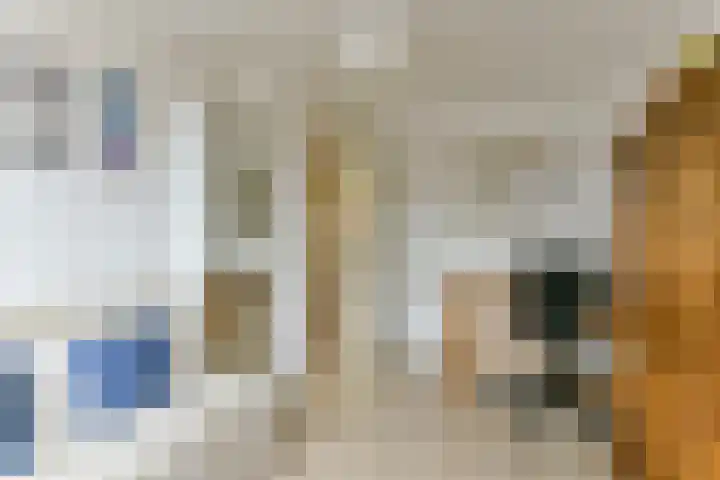 Esdoorn 15 Odijk thumbnail 31