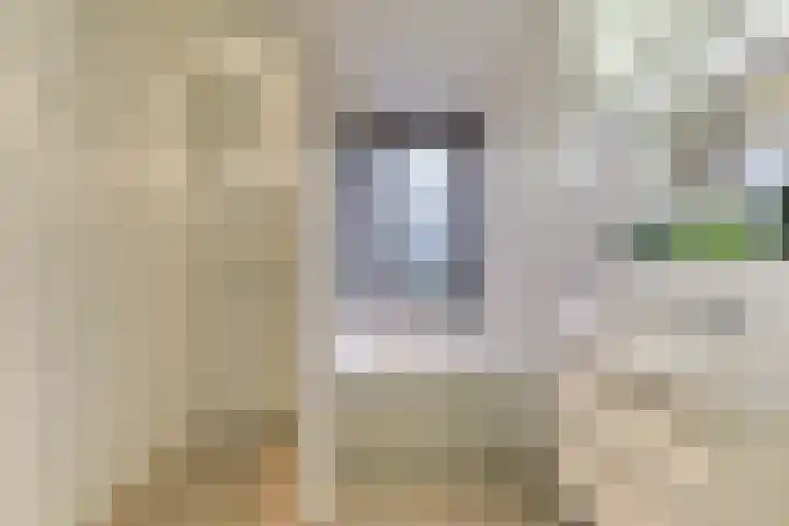 Esdoorn 15 Odijk thumbnail 39