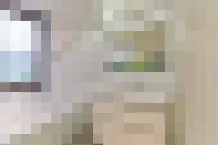 Esdoorn 15 Odijk thumbnail 41